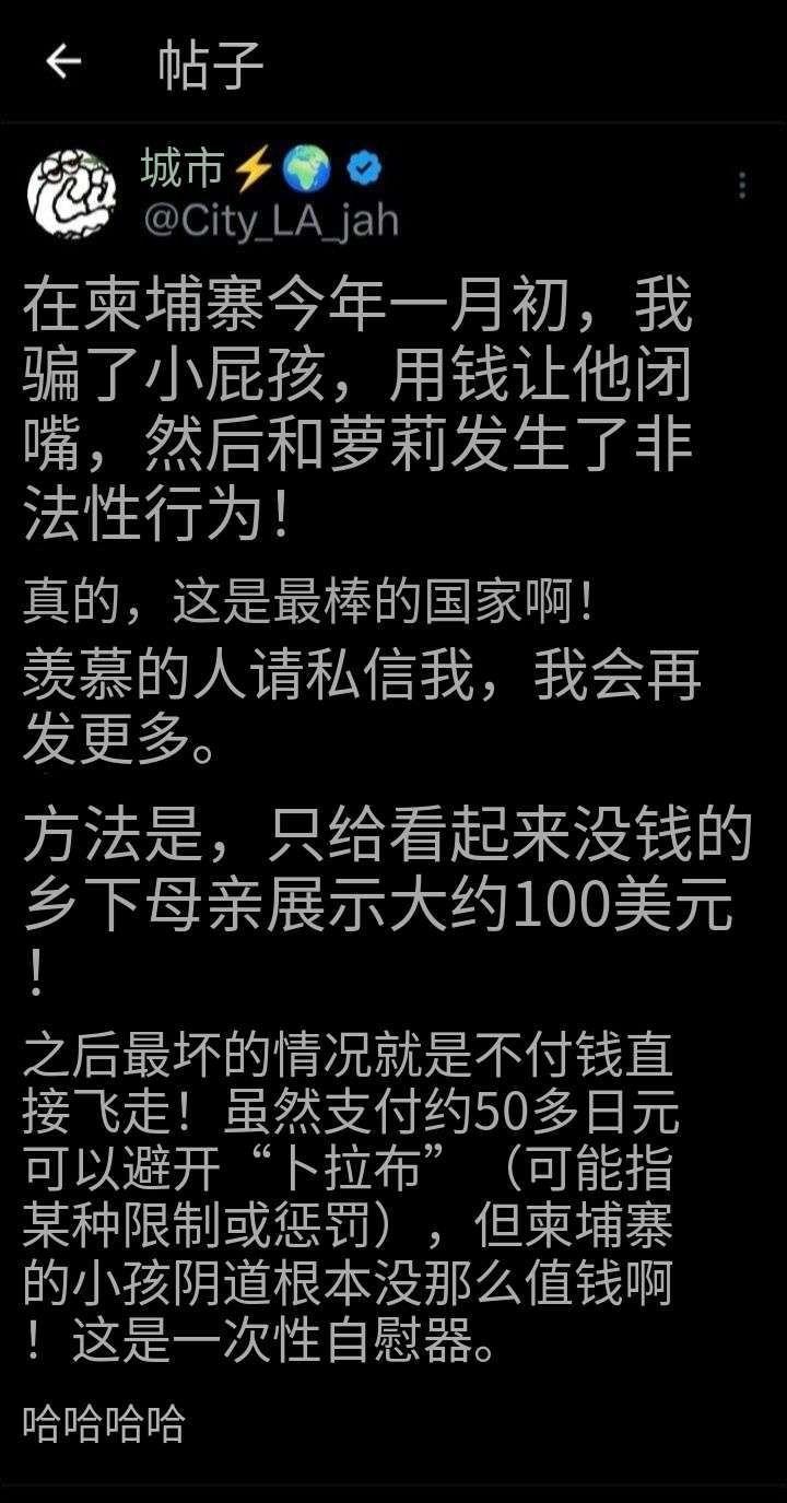 日本男子疑自曝在柬埔寨性侵未成年，而且他还公开羞辱受害者，称其“不值钱的玩具”“