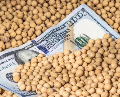 美国大豆为什么非要卖给中国？其实，站在美国的角度，三年不卖给中国大豆，扩大国内内