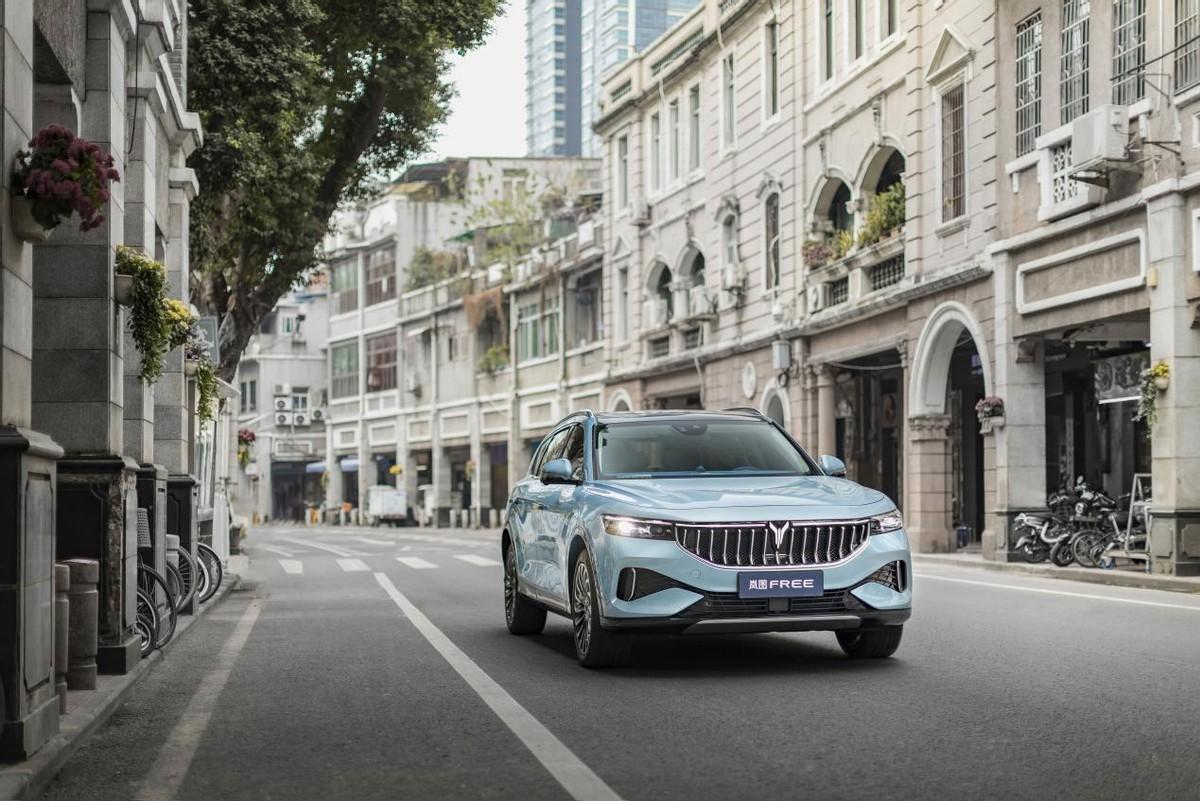 有朋友让我推荐一款30万以内的新能源中大型SUV，要求续航要长、配置要全，最好底