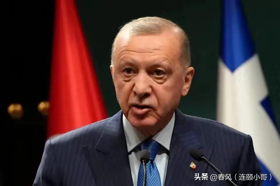 不得不服，土耳其总统埃尔多安的政治嗅觉真是太敏锐了，金砖会后马上开加入程序，真是