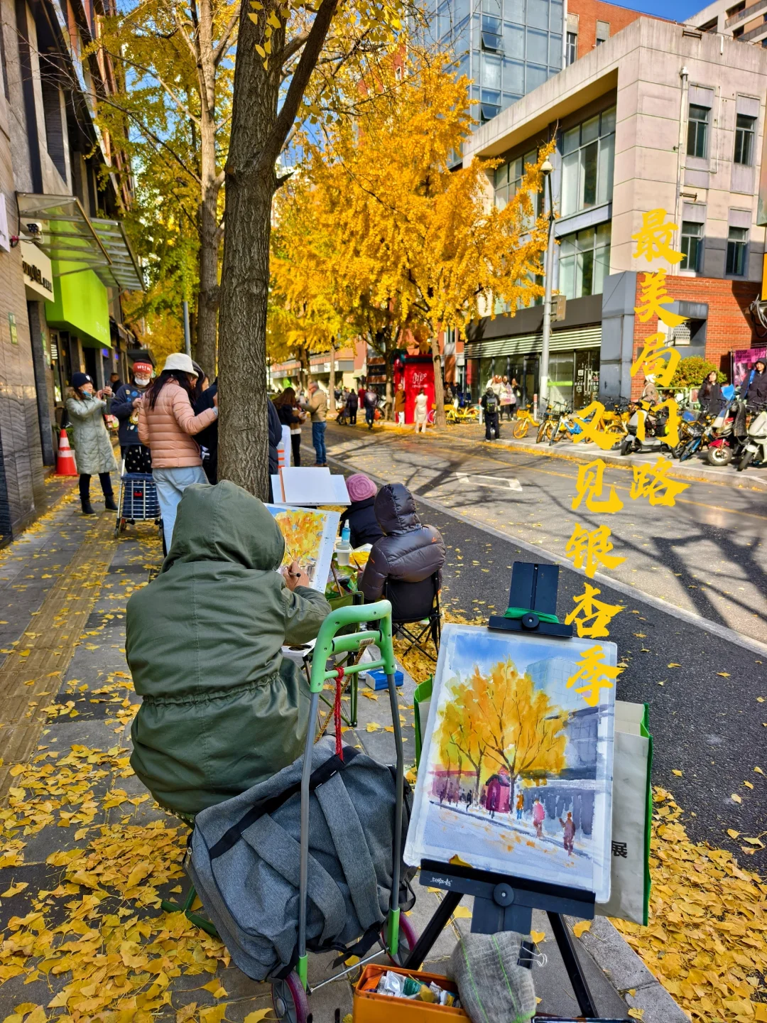 最美局门路|落叶不扫，银杏季的秋日浪漫