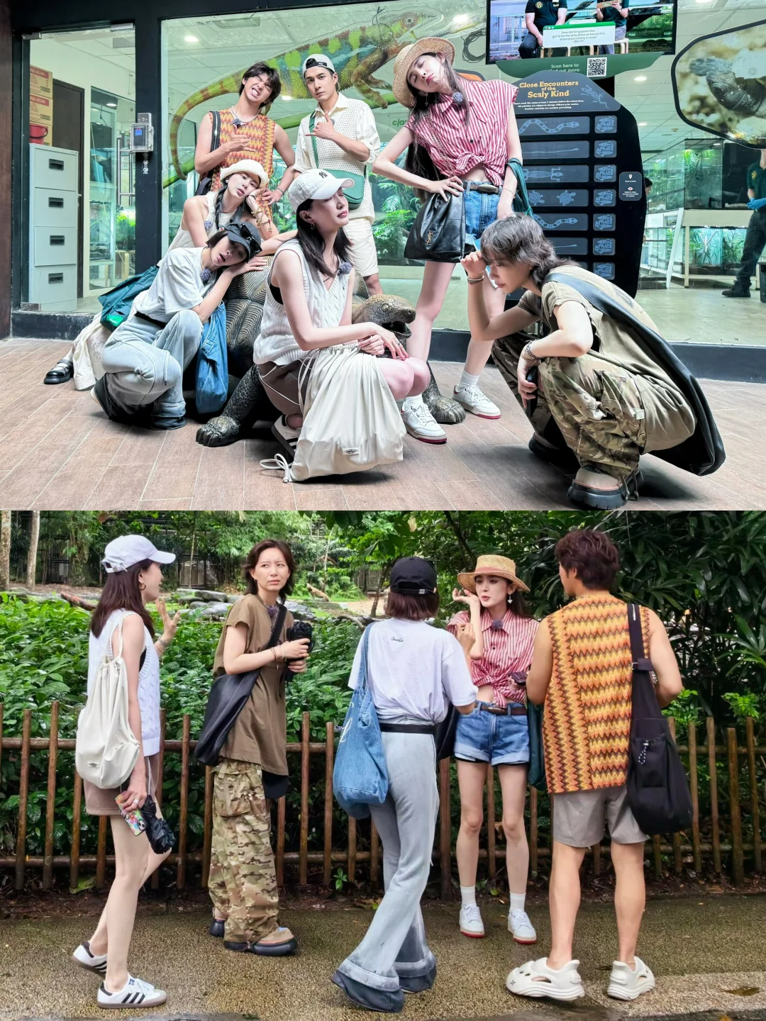 花少好友记新加坡站｜每天都在被偶遇耶