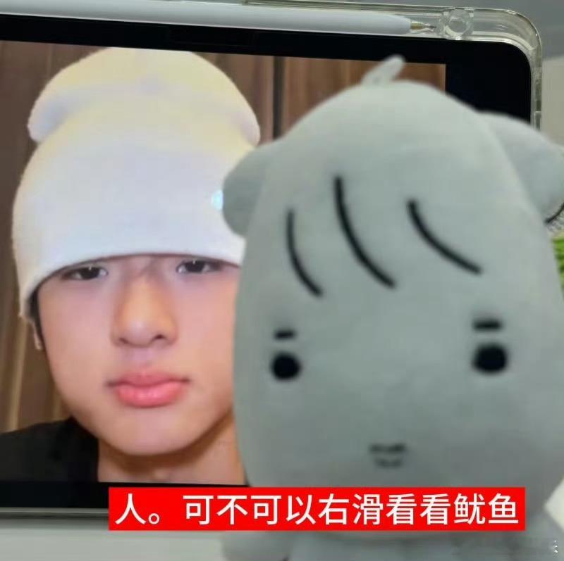 张峻豪鱿鱼塑自己🥰张峻豪成功鱿鱼塑自己！雷霆鱿鱼帽加持下，整个人都透着小鱿鱼的