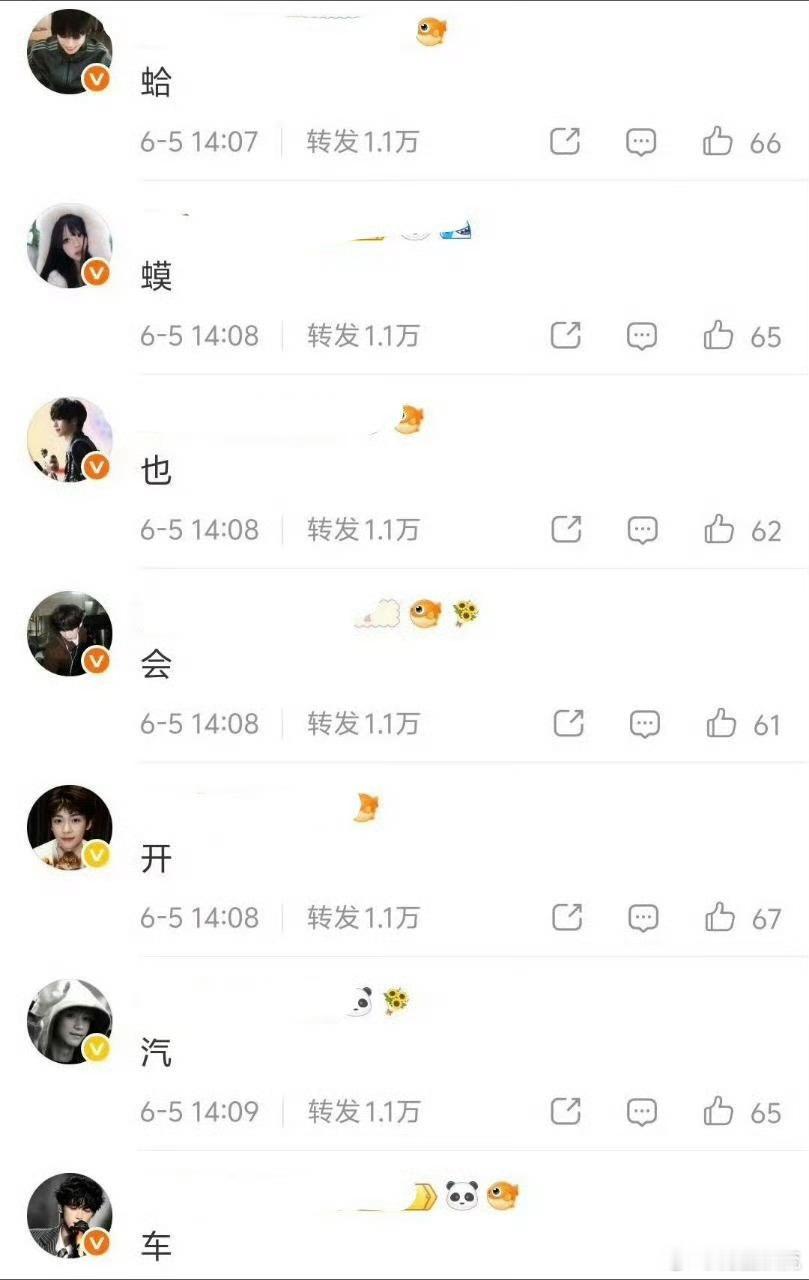 空尼几哇 怎么看