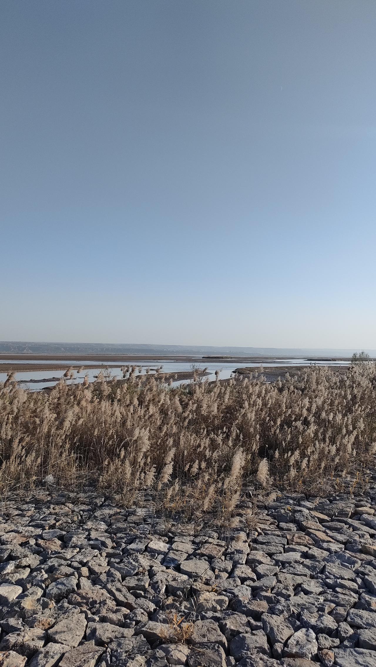 去超市买块豆腐，发现大部分人都戴口罩，没有戴口罩的我一下子不自然起来，环顾四周发