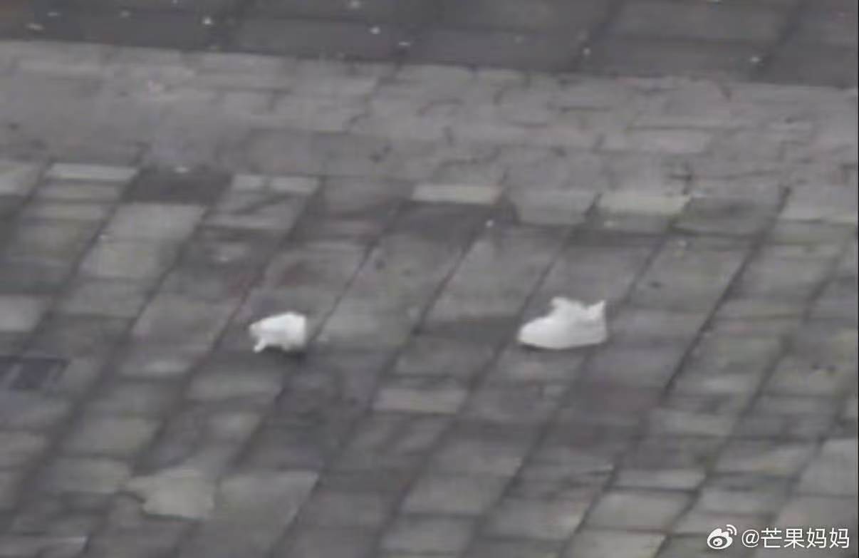 贺峻霖贺峻霖在桃花坞鞋都跑掉了贺峻霖凡事都有2.0 这次在桃花坞鞋都跑掉了哈哈小