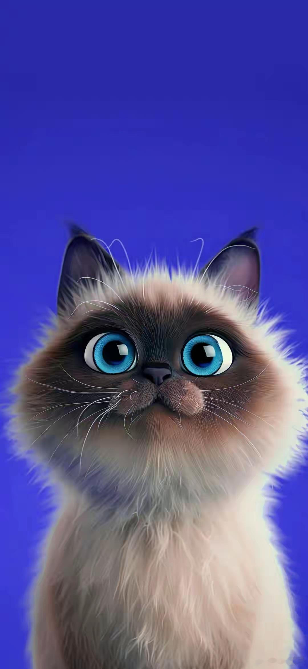 各位老铁早上好！