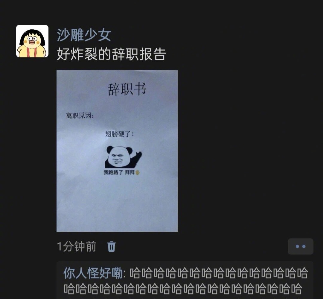 好炸裂的辞职报告 ​​​