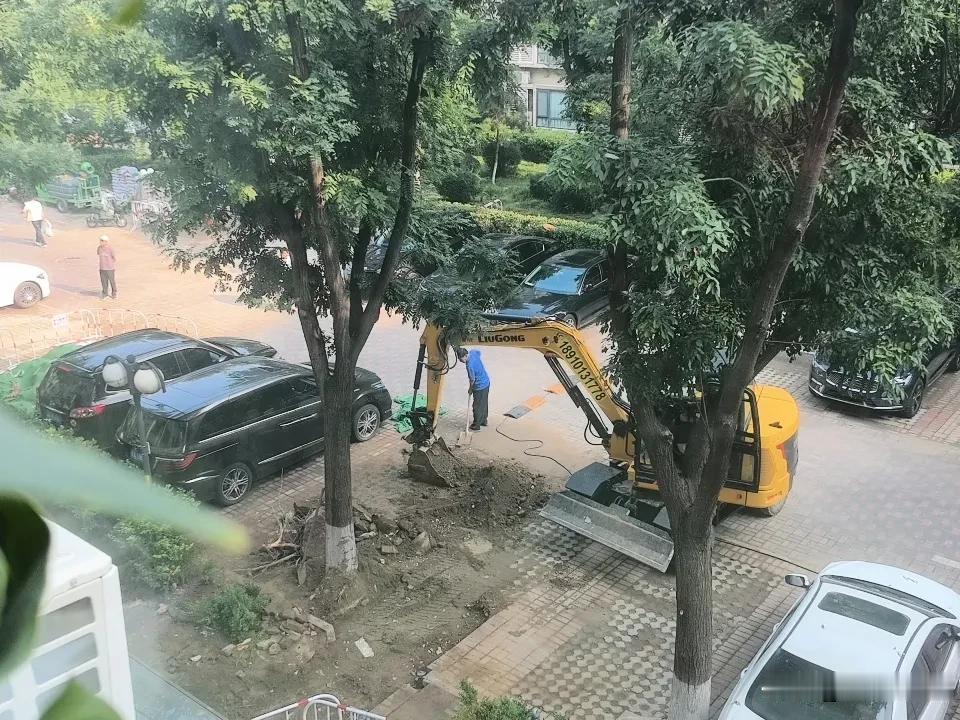 热力管道更换完毕后，挖掘机正在进行土石方填埋。终于完工在即了！