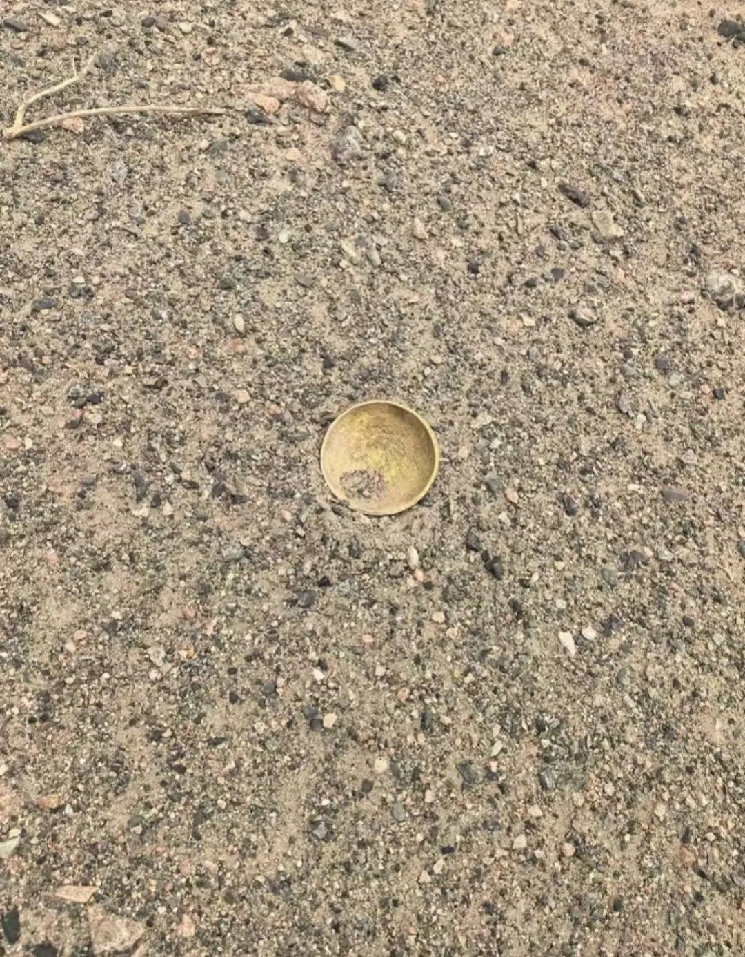 这个圆东西是个啥啊？我是不是要发财了？