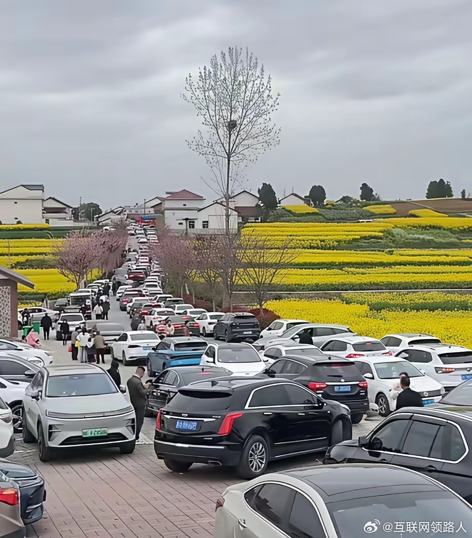 我带着10万人和死去的亡魂   大部分都是陕A大军”，下次说啥也不去了，堵车堵得