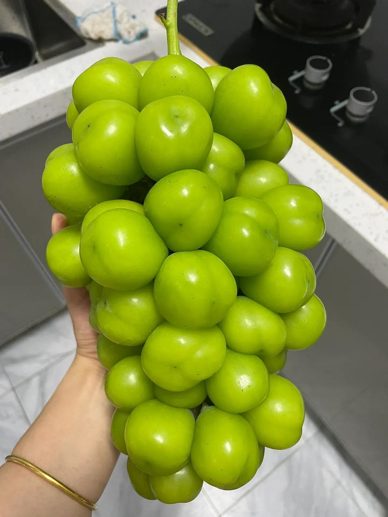 从阳光葡萄的价格来看人性的变幻莫测！

阳光葡萄一开始很火的时候，价格可是我们普