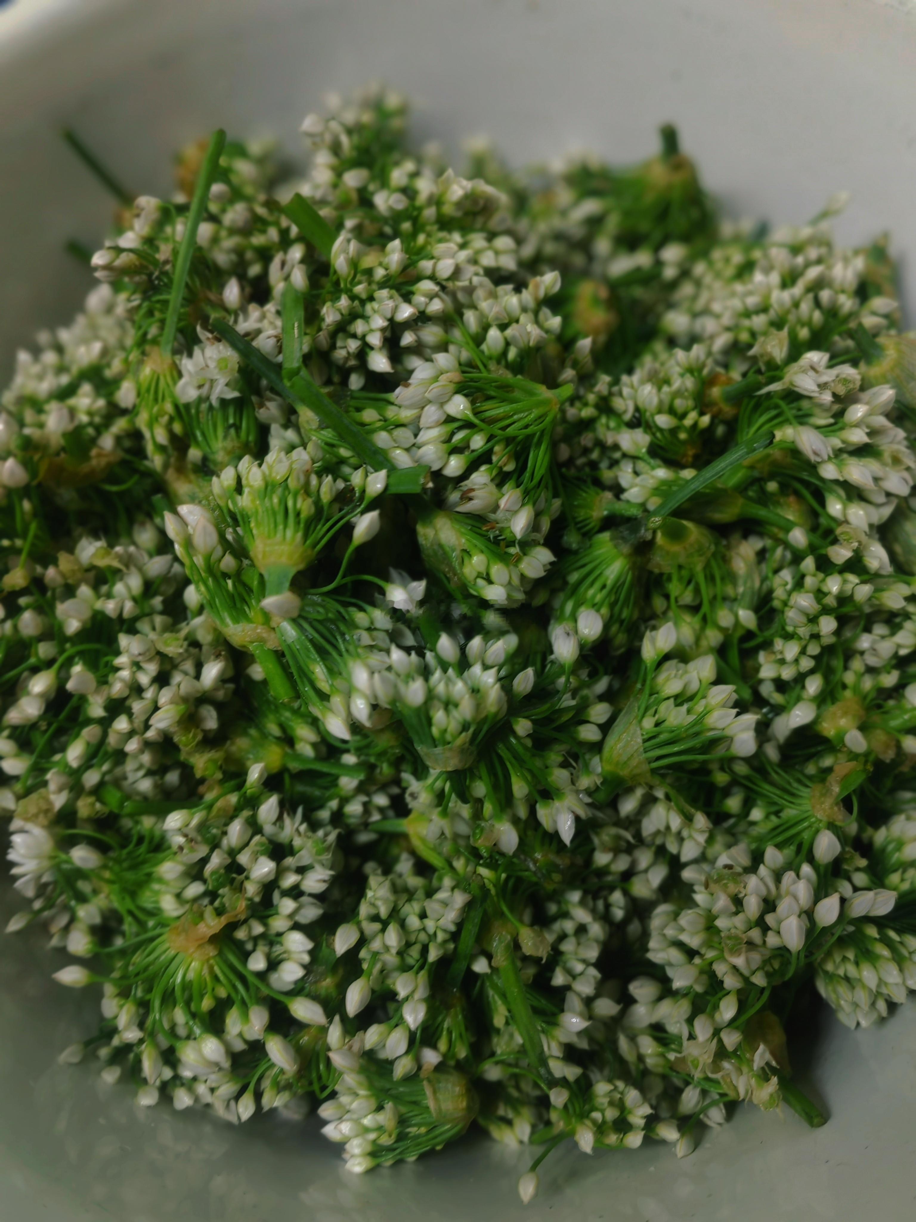 生活手记表姐去大草原采摘的野生韭菜花，回来分了我一点。顺手我去菜园割了点韭菜和青