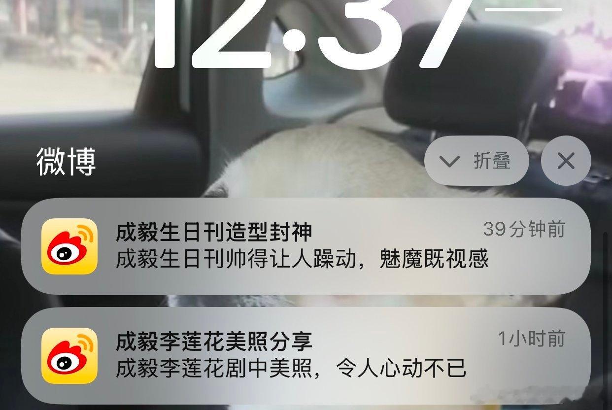 89413还是要坚持过517生日？ 