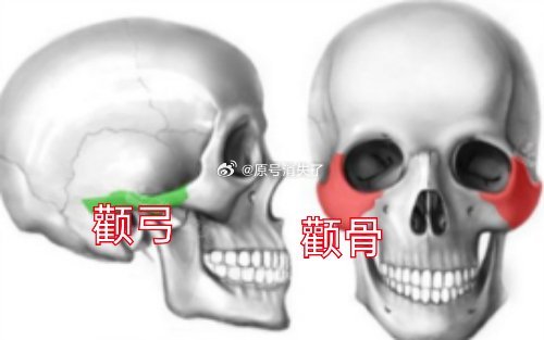 网页链接为什么追求立体❓立体和颧骨有什么关系？颧骨靠后是好看吗❓颧骨不是一块铁板
