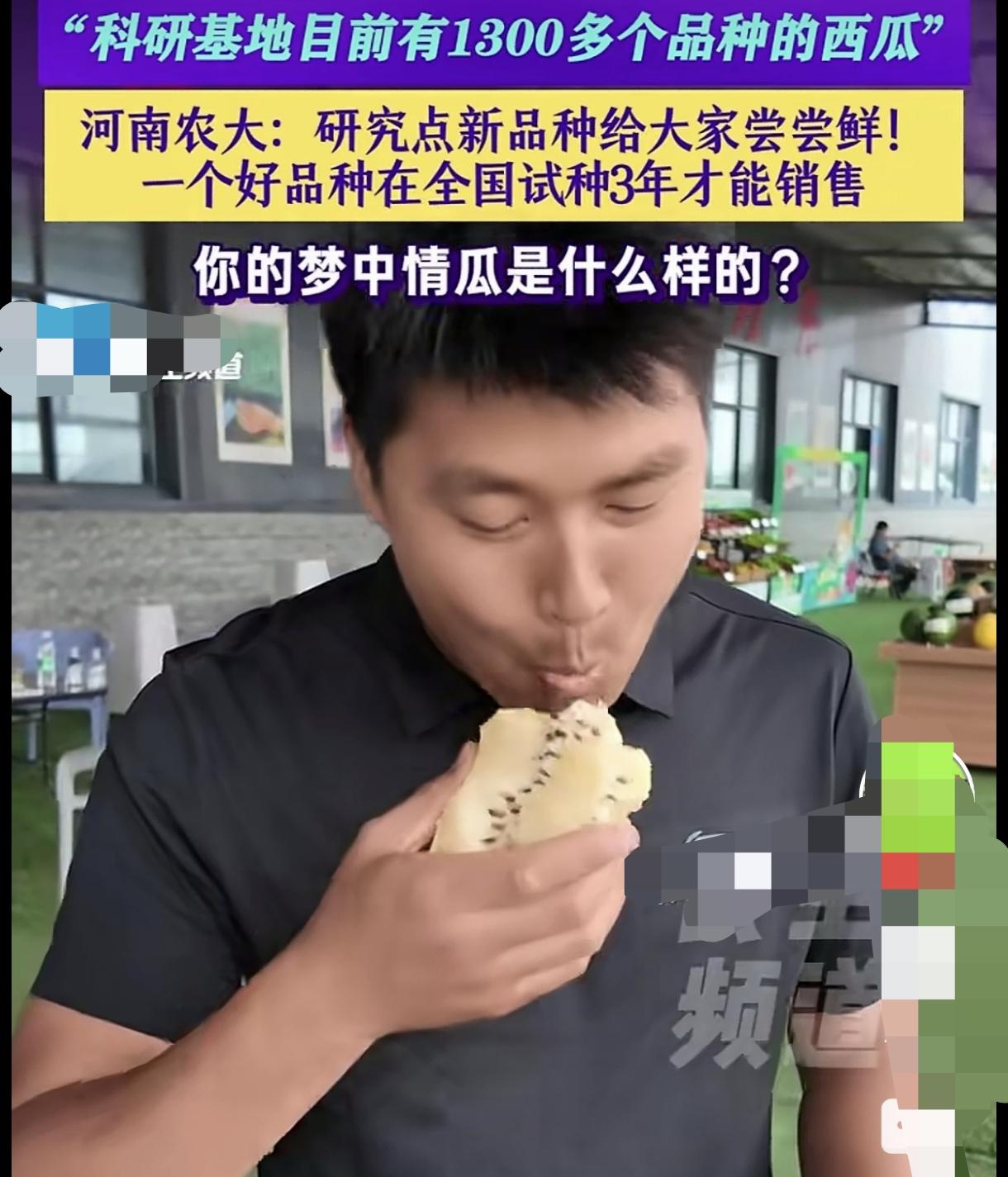 科研基地目前有1300多个品种西瓜
