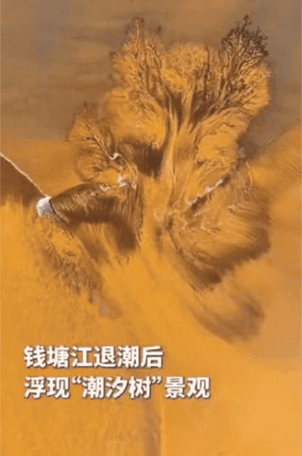 解释不清了！浙江一男子用无人机拍钱塘江退潮，没想到，无人机刚一起飞，就拍到了罕见