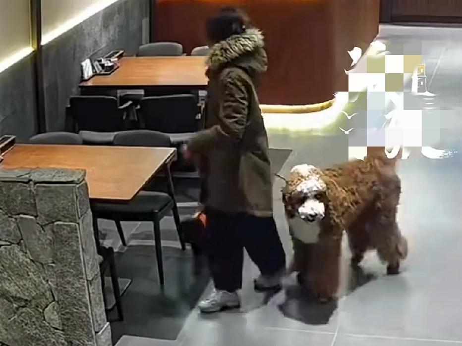 近日江苏无锡，一女子带着2只狗进店被拒，怒写差评：我家狗曾在法国皇宫生活！店员看