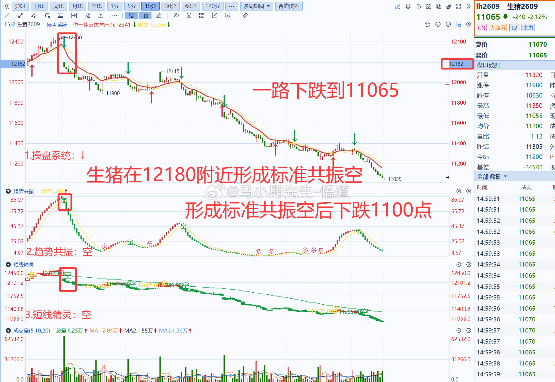 小马哥独研三位一体操盘信号系统：若使用操盘系统发现：生猪共振空后下跌1100大点