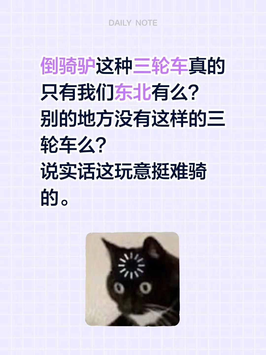 东北特色三轮车。倒骑驴这种三轮车真的只有我们东北有么？别的地方没有这样的三轮车么