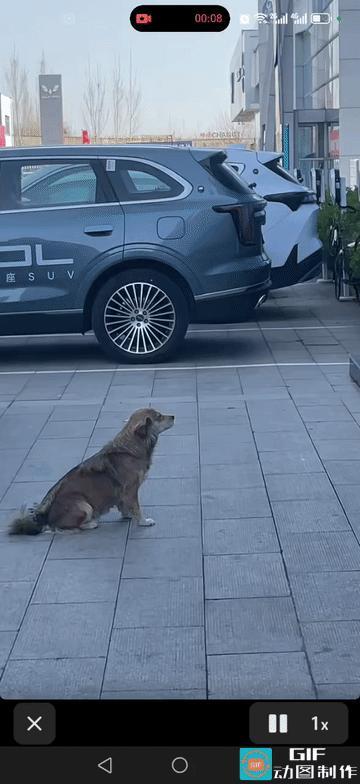 今日晨会最大的亮点，不是领导讲话，是这位“特邀员工”！

看这坐姿端正、眼神专注