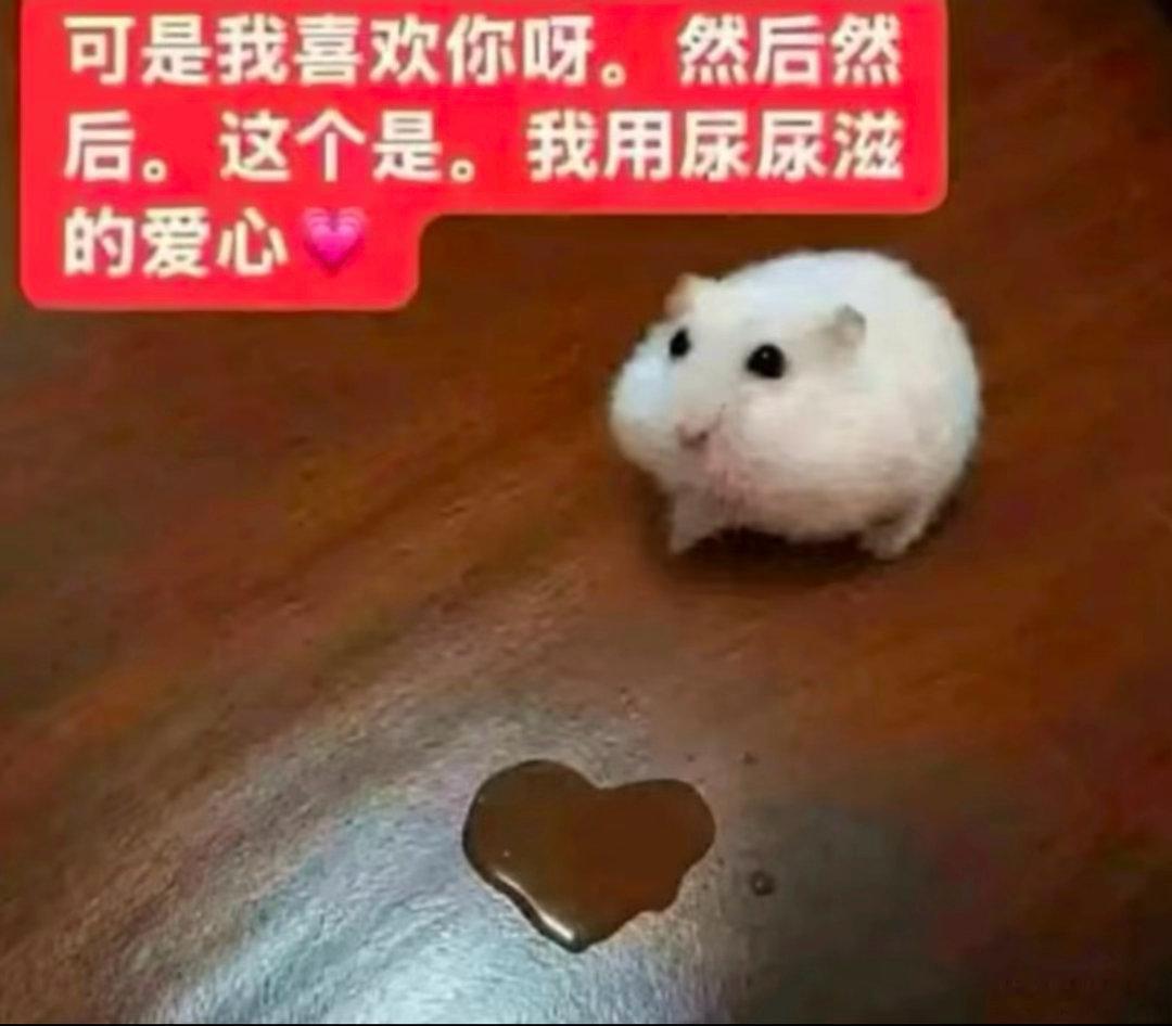 分享图片 