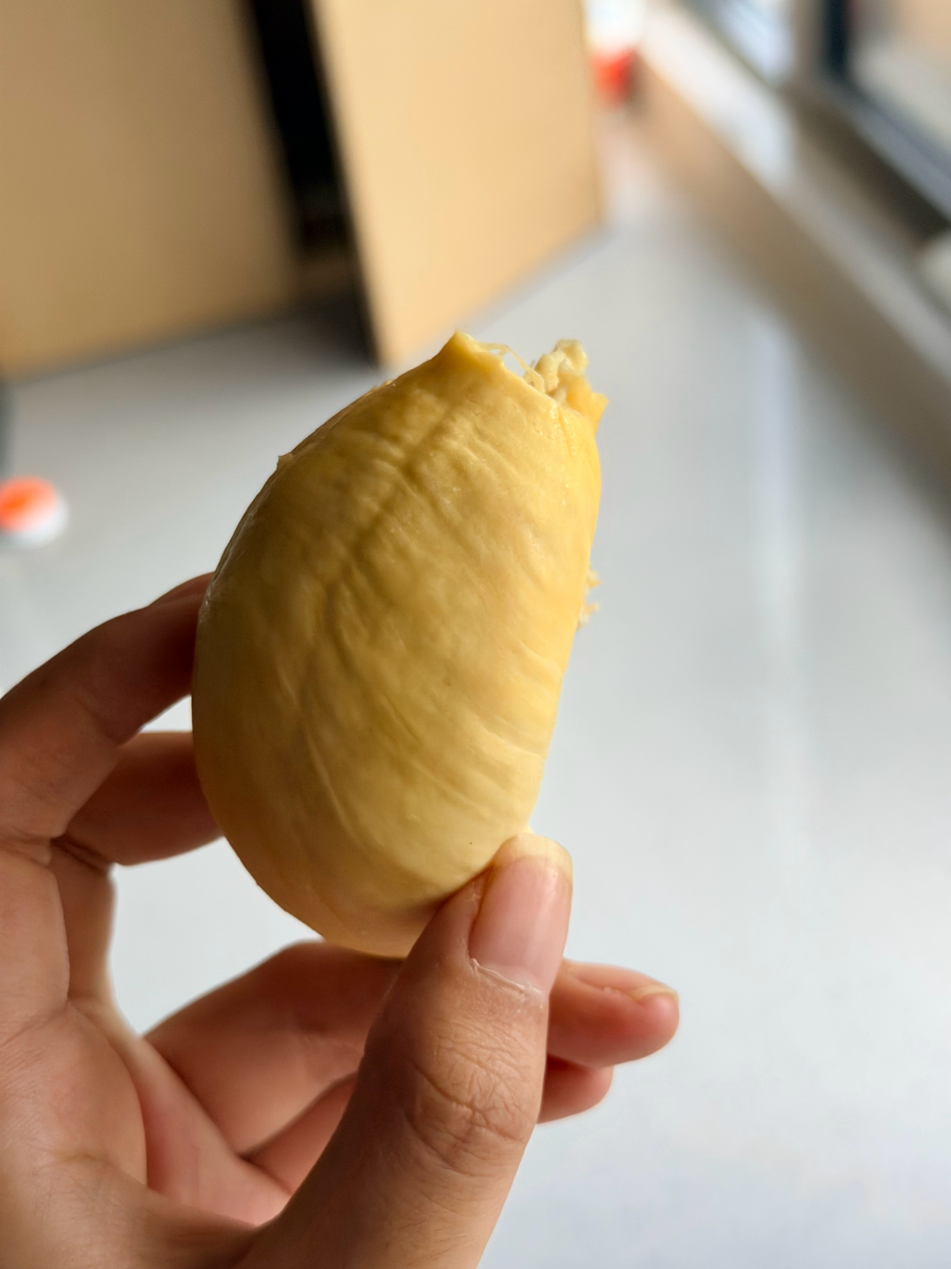 插播一则流量广告！小榴莲59.9一个！我开出了这么多明天 14 点 会涨价 今天