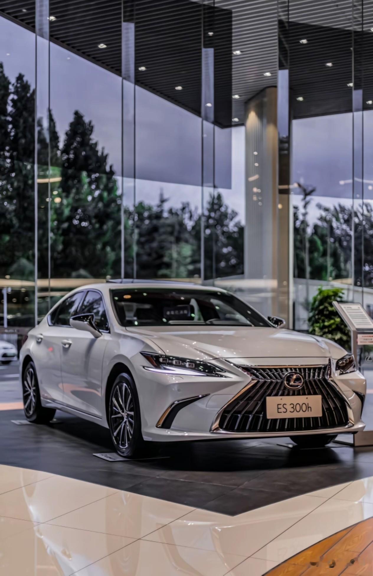 平顺有余野性不足，混动系统在优雅与激情间徘徊

剖析雷克萨斯ES300h的动力表