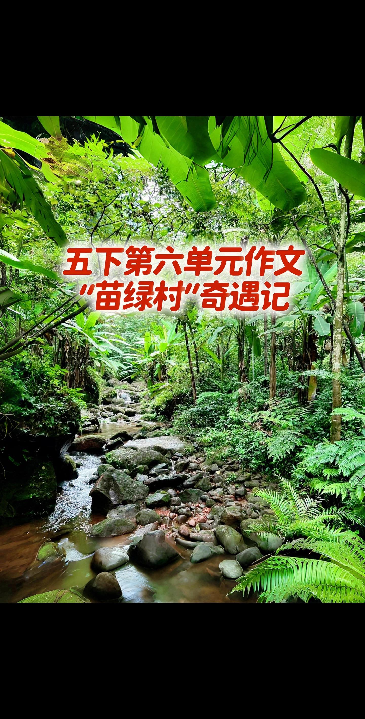 宝妈们，小学五年级下册第六单元作文《“苗绿村”奇遇记》。同步作文