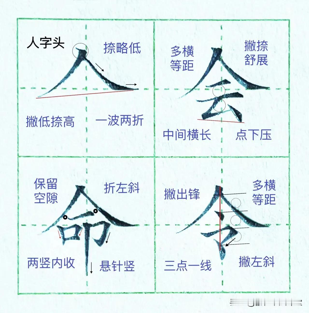 硬笔楷书偏旁部首字卡11【人字头】，收藏起来

书写规律： 
1.撇捺舒展，撇的