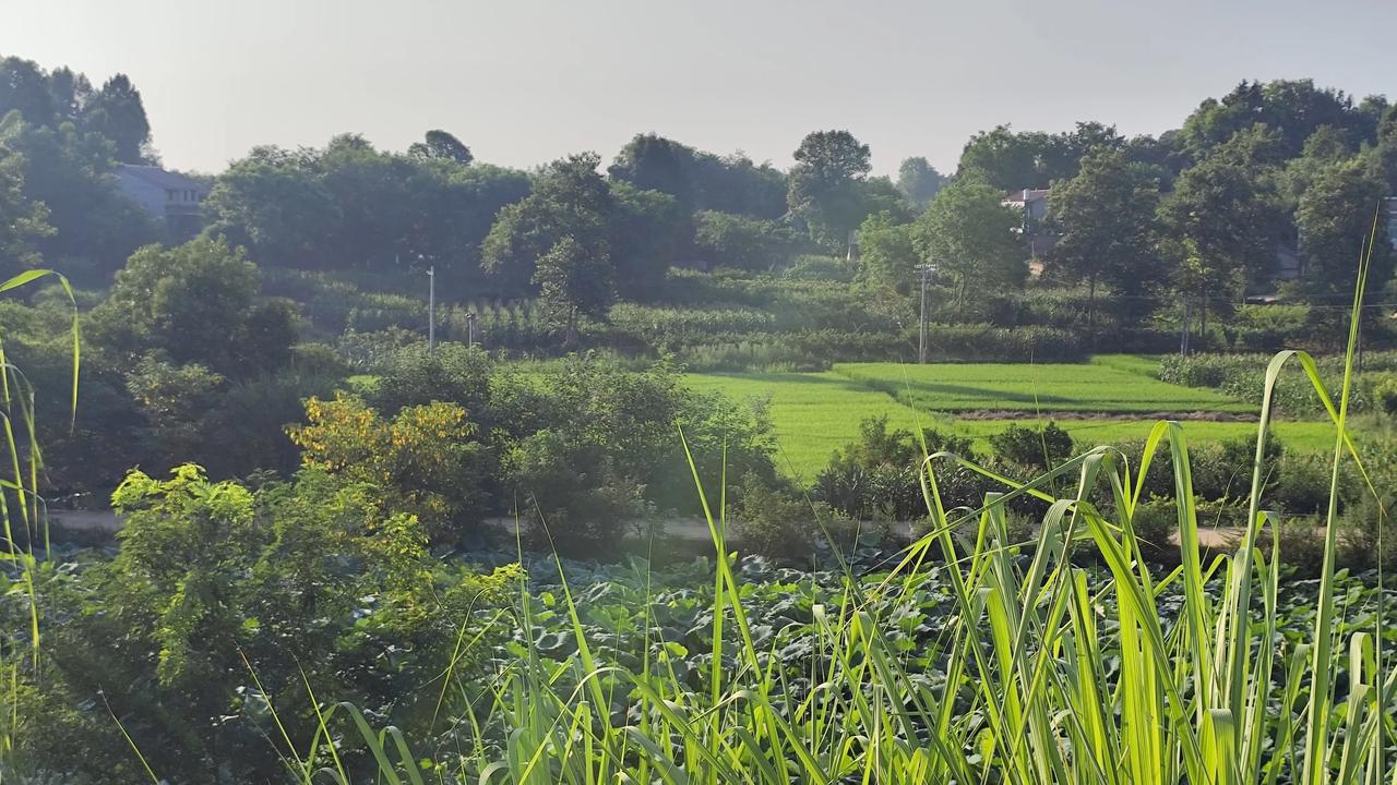 夏日生活打卡季乡村夏日风景欣赏分享一张自然风景的照片