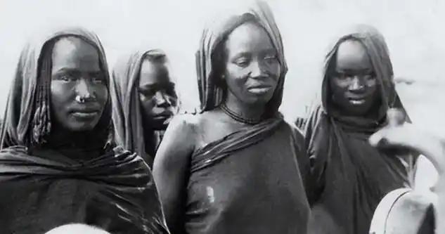 1626年后，有50万名黑人被卖到美国做黑奴，女黑奴被迫和奴隶主发生关系后，生下