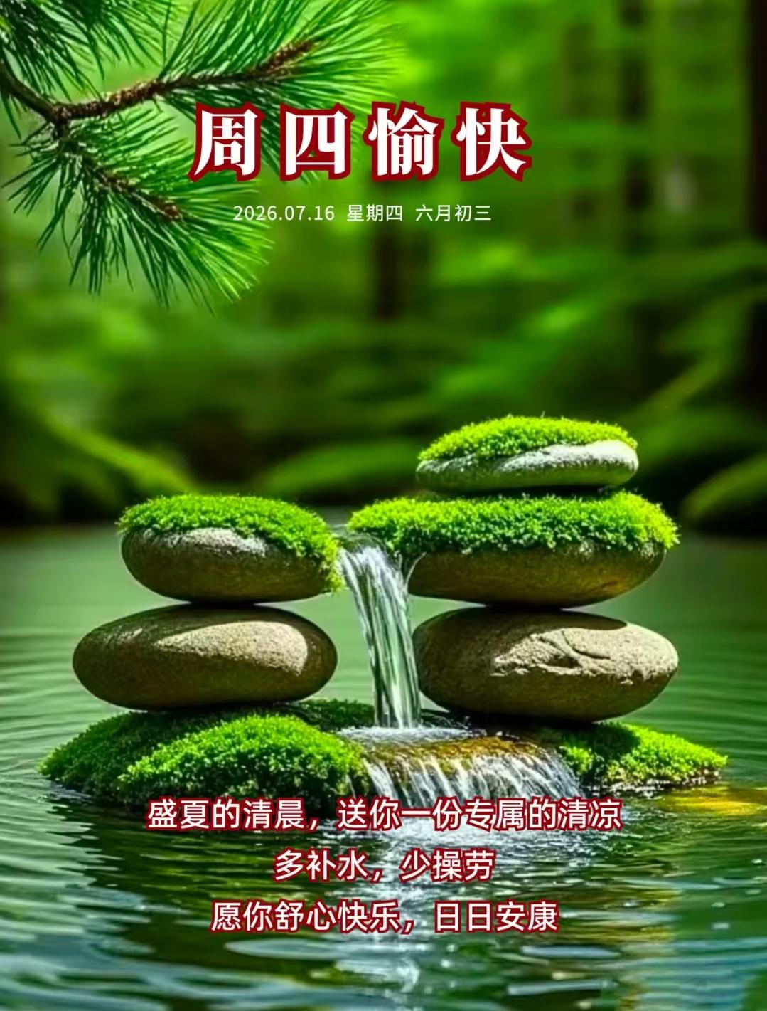 谢谢才女老师支持与美评！[鼓掌][鼓掌][鼓掌]//@好学春风m:师友分享夏日养