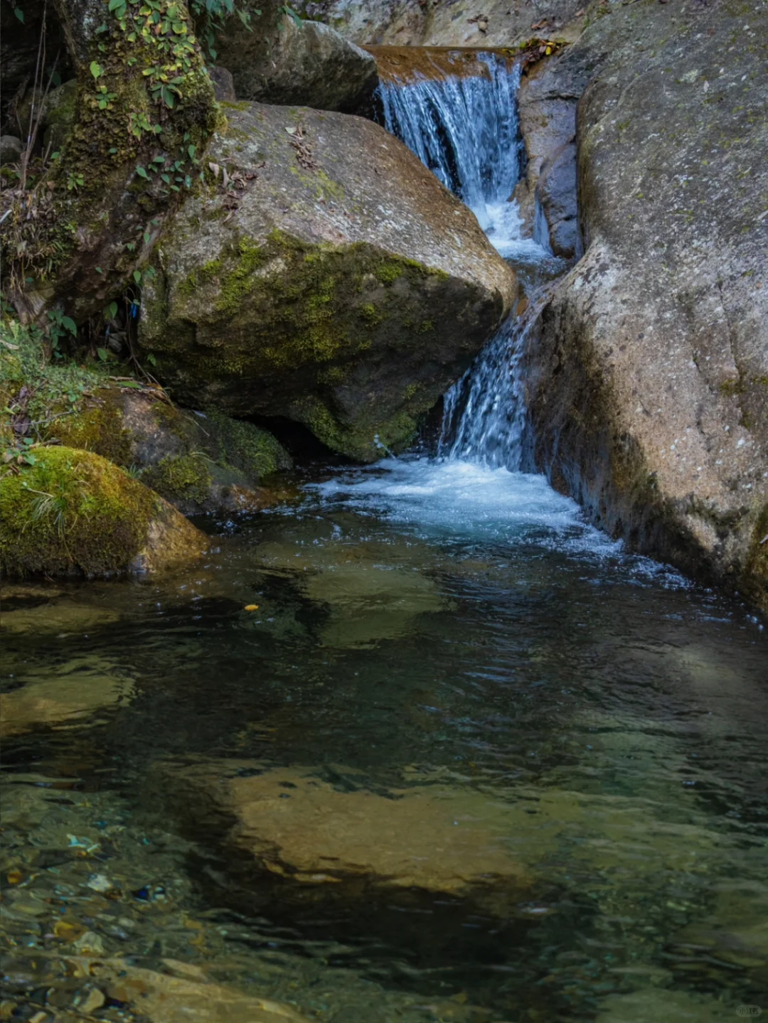 “昱岭飞瀑”大明山后山 | 华东名山录
