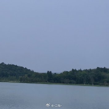 奇奇我是二丫 晚安明天又早起