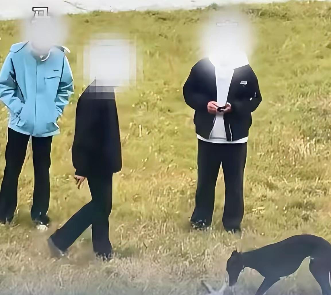 3名未成年买猫测试猎犬捕猎能力 警方立案：安徽蚌埠3名未成年人为测试他人猎犬捕猎