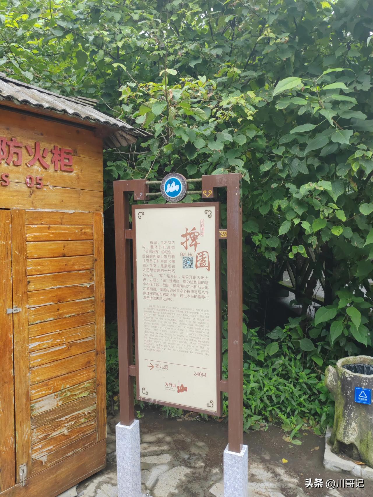 走过悬索桥，来到一个交汇点，一个叫百合的建筑纵横，百合的百合，光看这一处新绿，谁