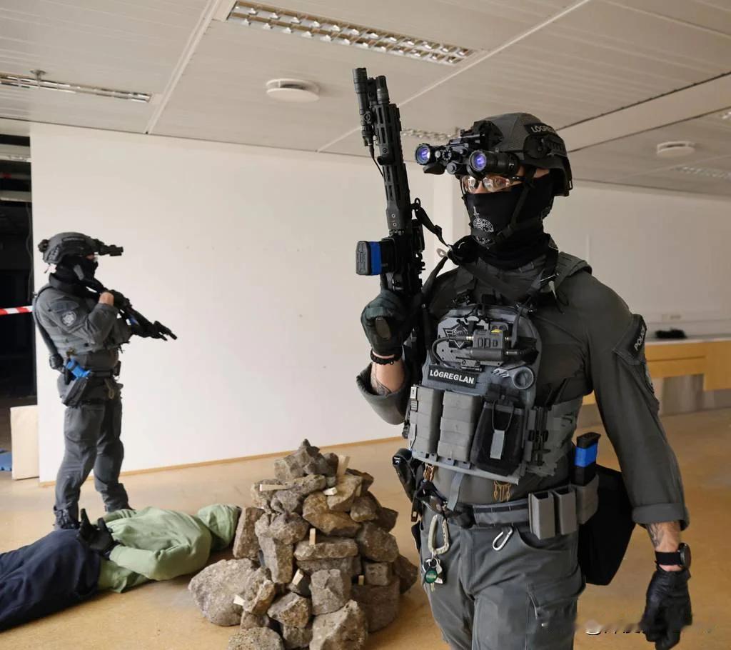 冰岛特警，sig mcx