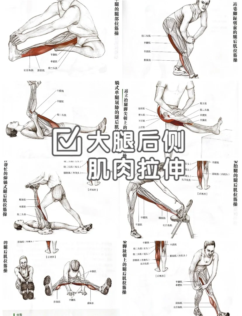大腿后侧拉伸🏌️‍♀️告别僵硬，轻松塑形🔥