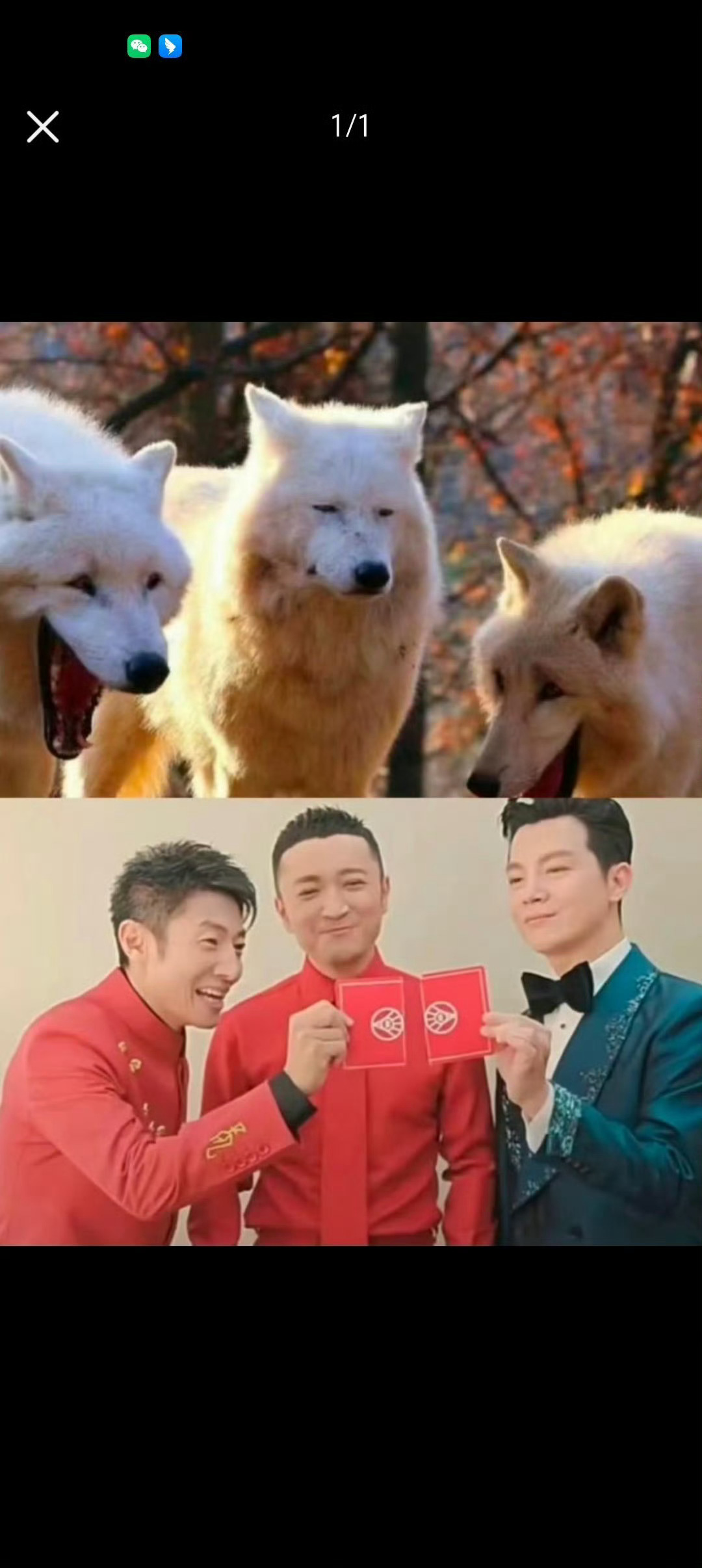 撒贝宁对尼格买提贴脸开大撒贝宁尼格买提这对活宝！互怼贴脸开大，春晚藏牌名场面笑到