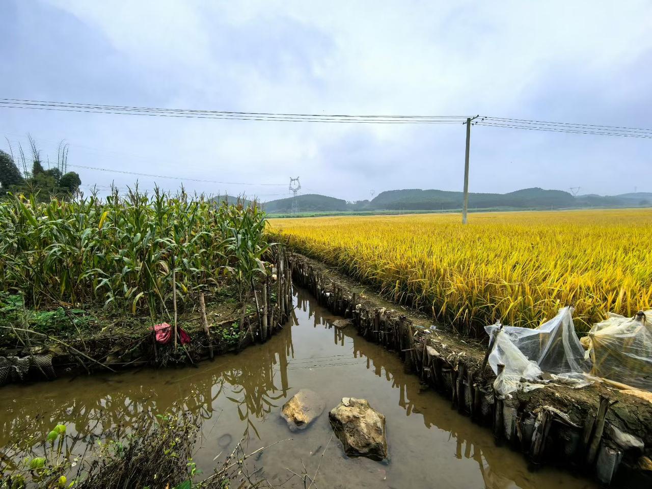 《魔盗团3》归来，是再创经典还是狗尾续貂？


《惊天魔盗团3》项目确认开发，但