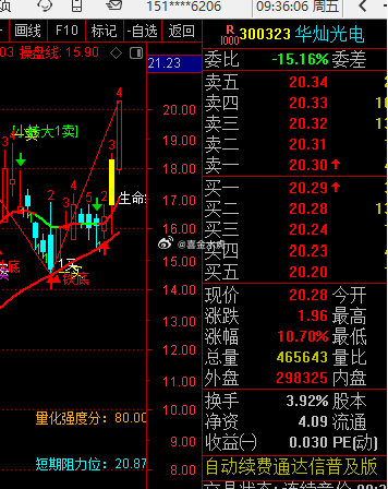 这又放飞咯 