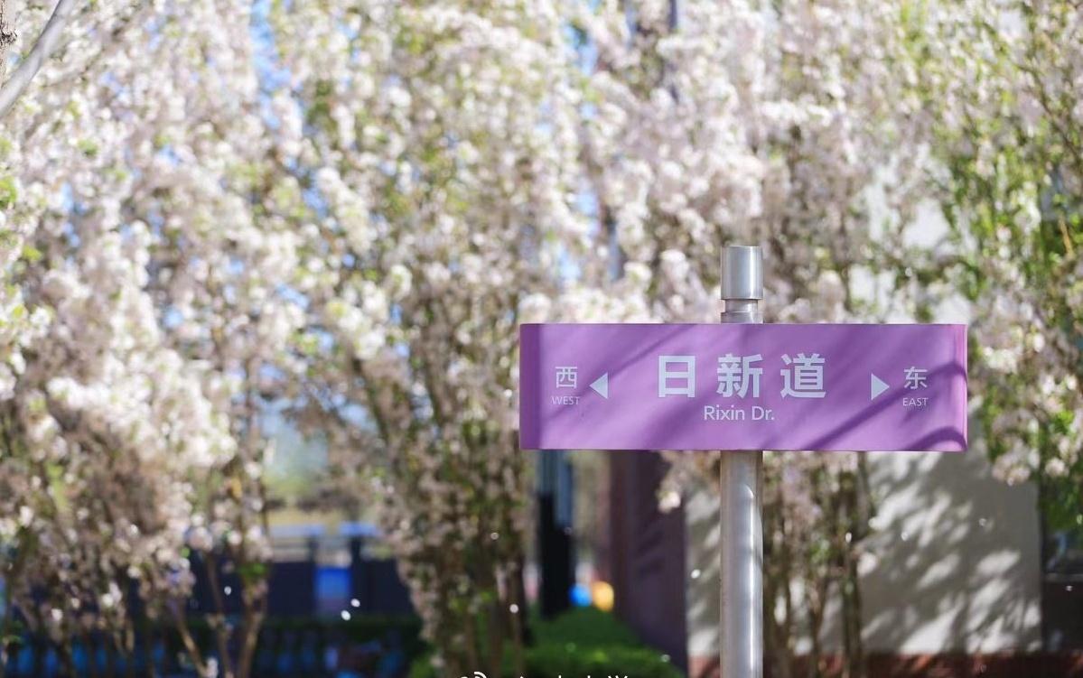 江南大学超话南开大学106周年校庆
渤海之滨，白河之津；
巍巍南开，月异日新。