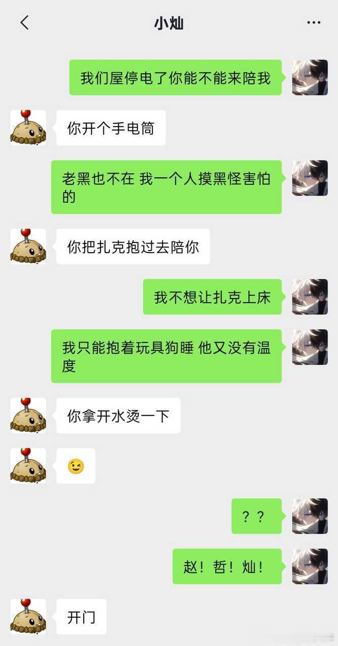 13293【梦灿梦】也许是二零二五年的两只狗 