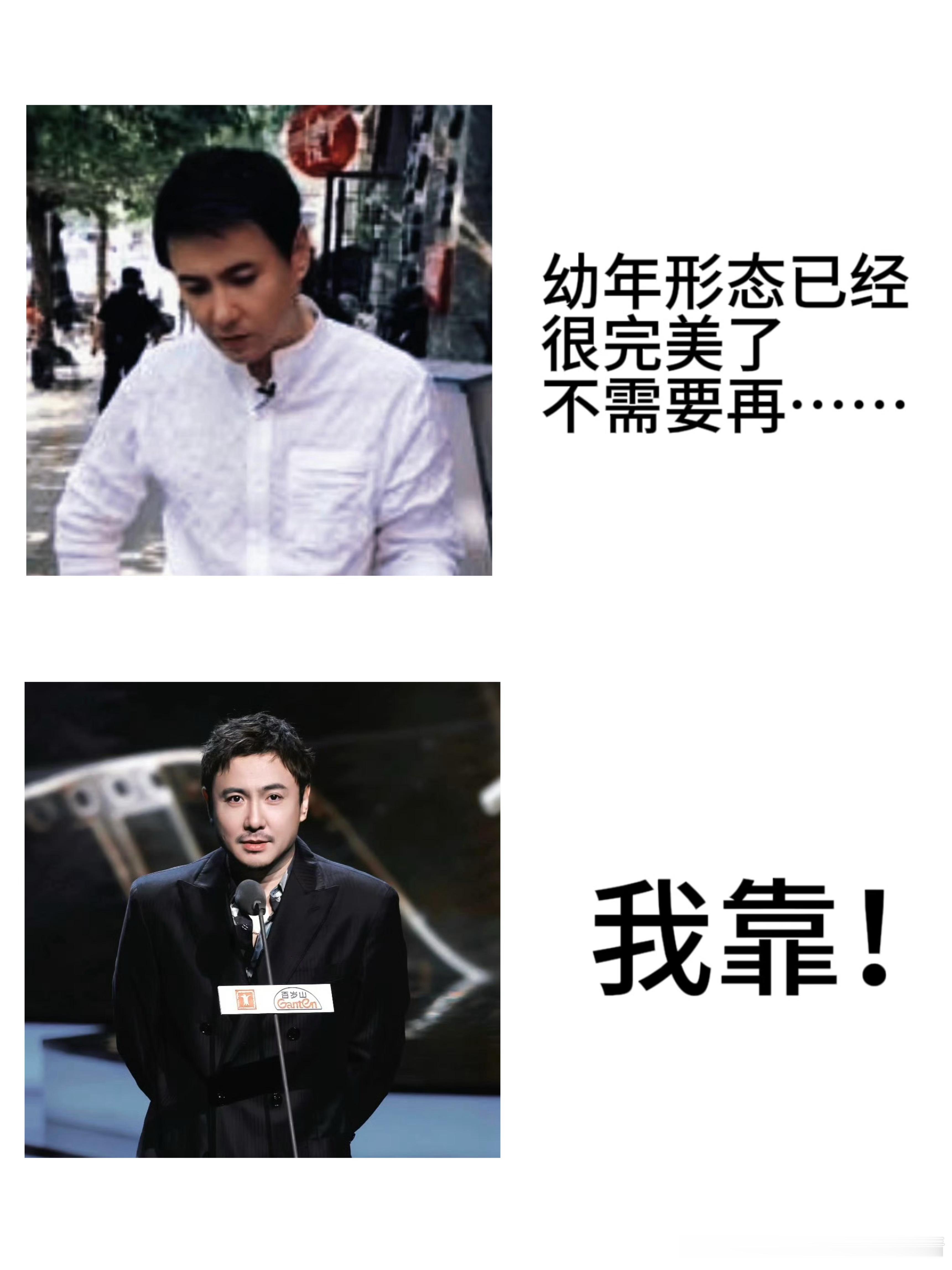 幼年形态已经很完美了不需要再。。我靠。 