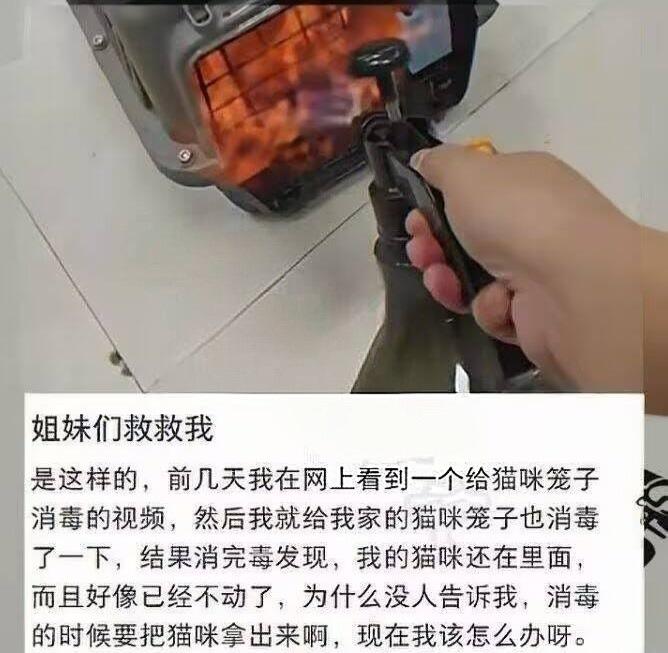 那还能咋办，大办特办呗