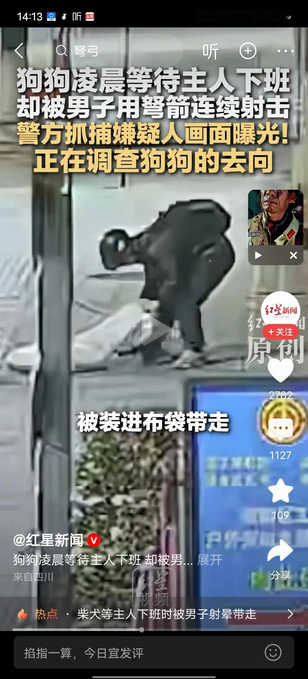 网络真的是很强大，偷狗的被抓起来了，如果不是主人把监控视频放到网上，黑皮的视频大
