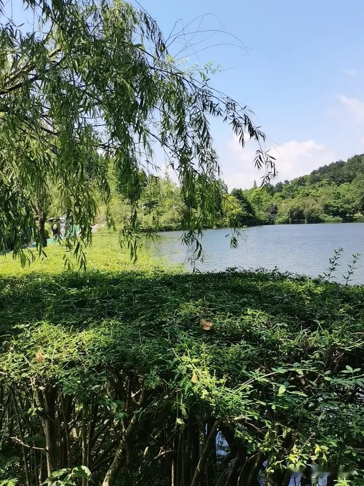 什么样的旅游是能够治愈人的说真的，还是自驾最舒服！自己开着车，不用跟着别人的节奏