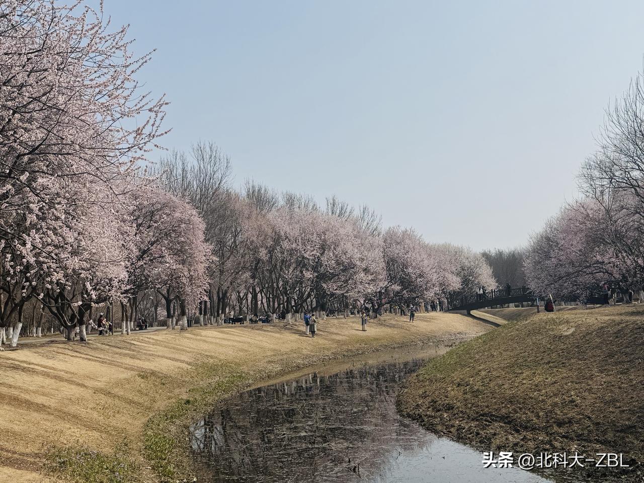 北交所打新前瞻（更新）：中科仪

北交所官网发布消息，3月30日中国科学院沈阳科