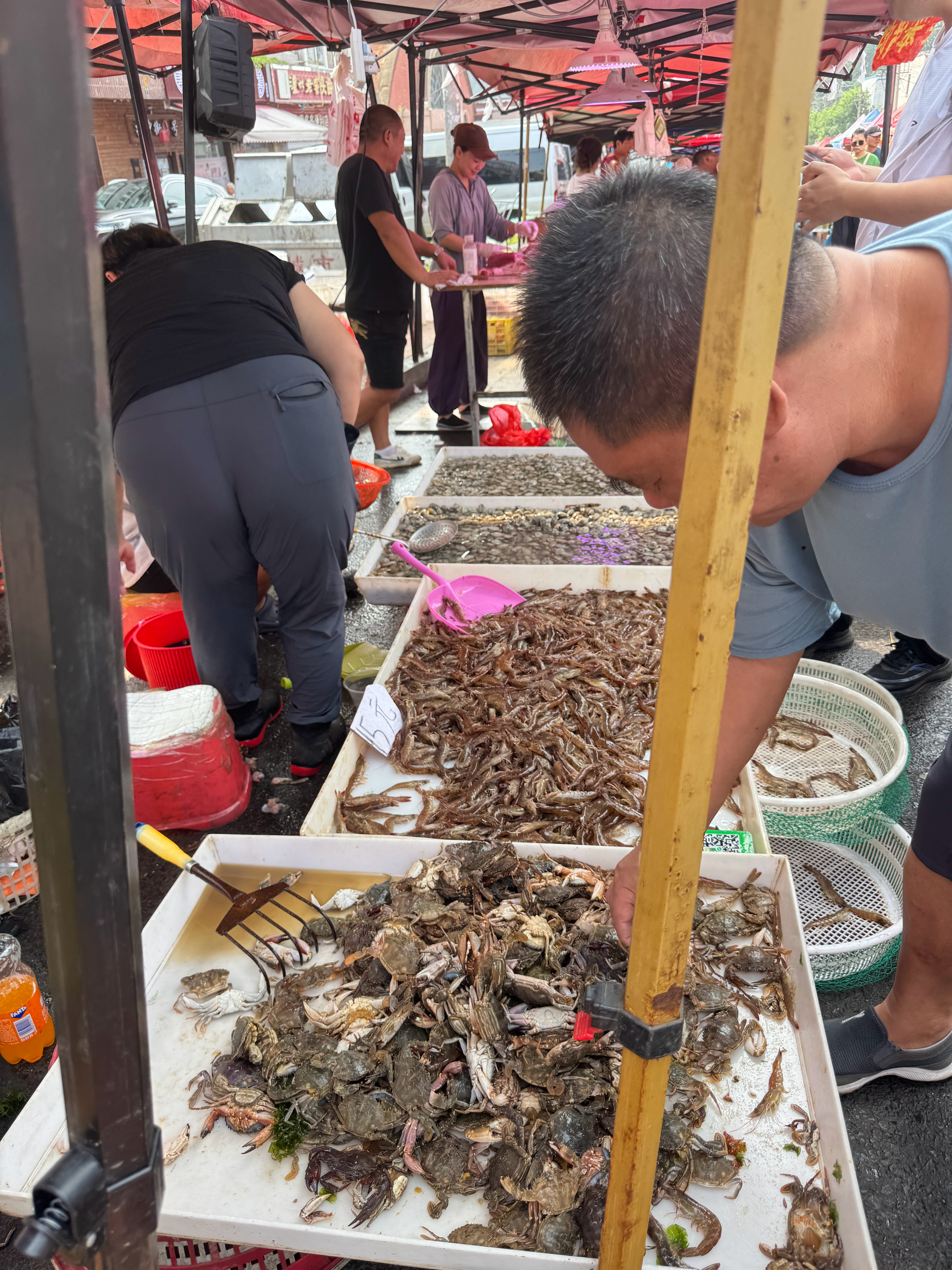 大连人的餐桌上每一顿都有海鲜买海鲜就像买菜一样方便[哈哈]  ​​​